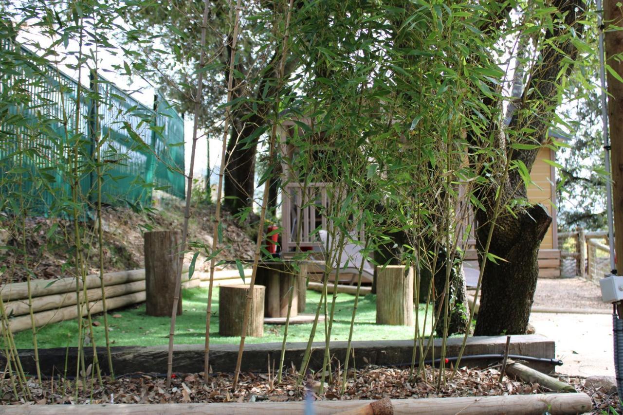 La Barriére Le Domaine Du Naizadou Chalet Lou Grilhヴィラ エクステリア 写真